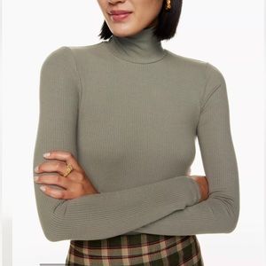 Wilfred (Aritzia) Only Turtleneck NWOT